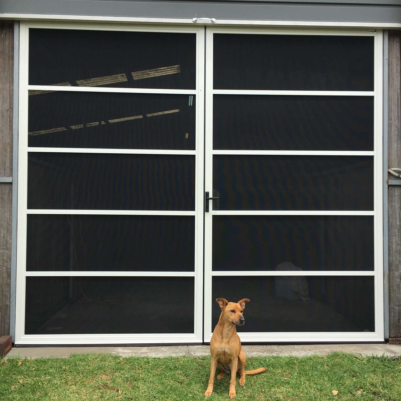 Fly Screens